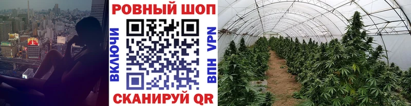 Где купить наркоту Грозный Гашиш  АМФ  МЕФ  А ПВП 