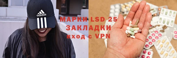 PSILOCYBIN Алексеевка