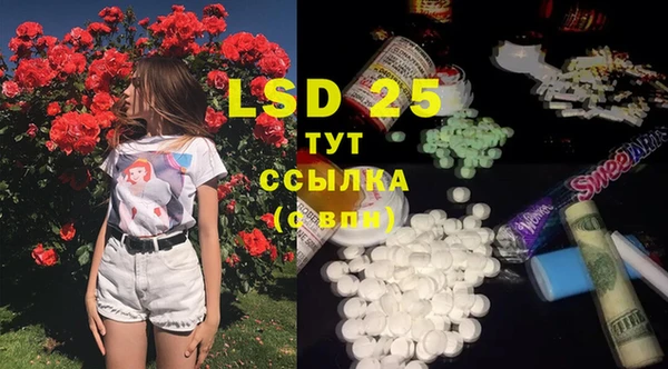 PSILOCYBIN Алексеевка