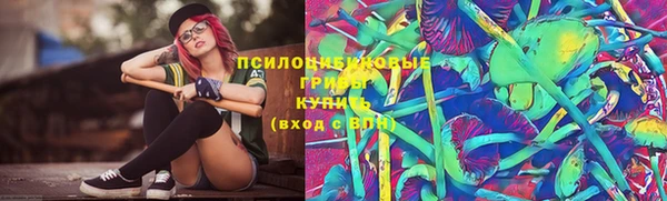 PSILOCYBIN Долгопрудный